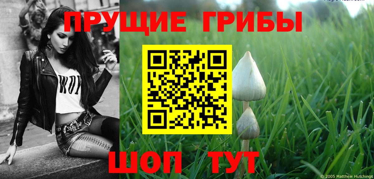 Галлюциногенные грибы прущие грибы  Галлюциногенные грибы MAGIC MUSHROOMS  Реутов  Вход с VPN 